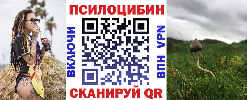 Псилоцибиновые грибы прущие грибы  Купить  Обоянь 