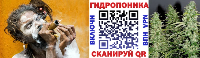 Купить  Обоянь  Конопля гибрид 